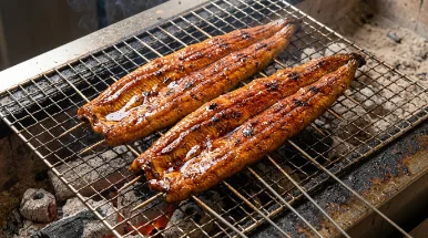Unagi