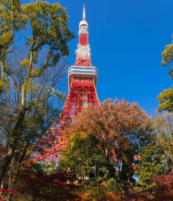 Tokyo Tower rising above autumn leaves under a blue sky